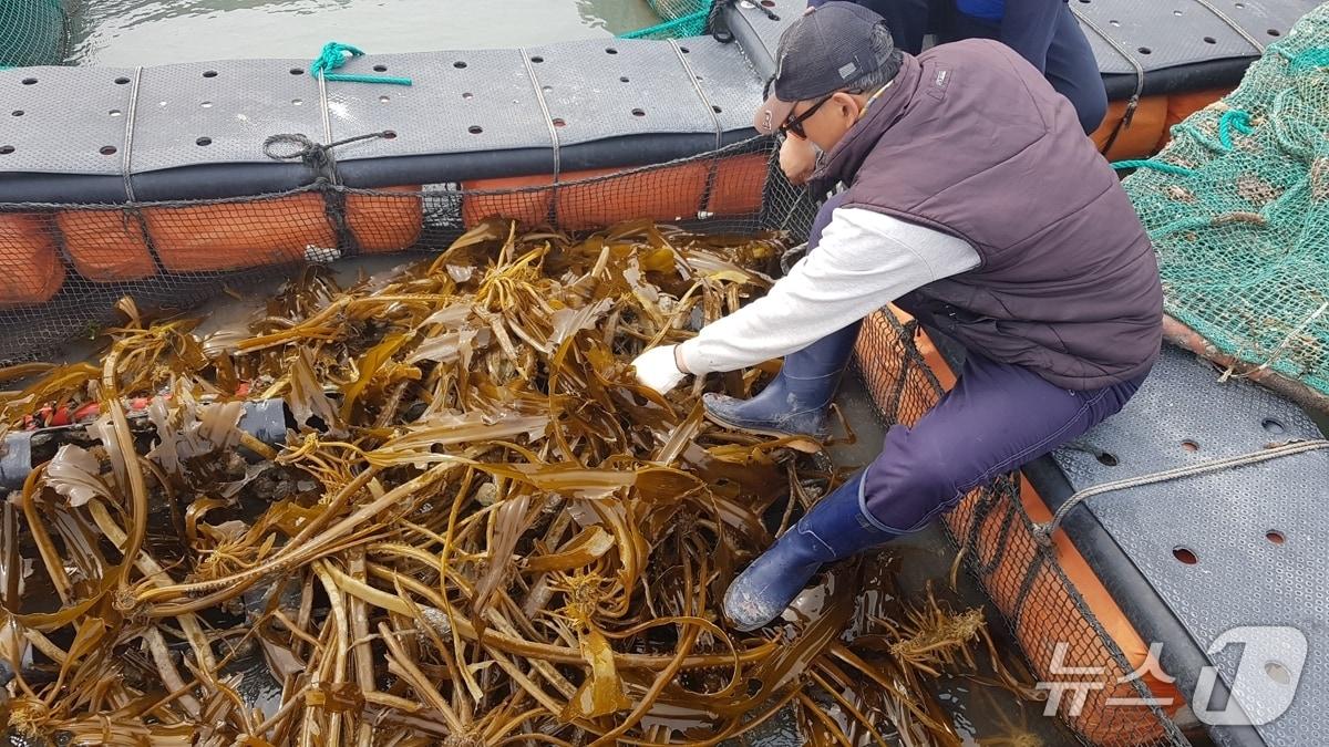 본문 이미지 - 전남 고흥 청년 어업인