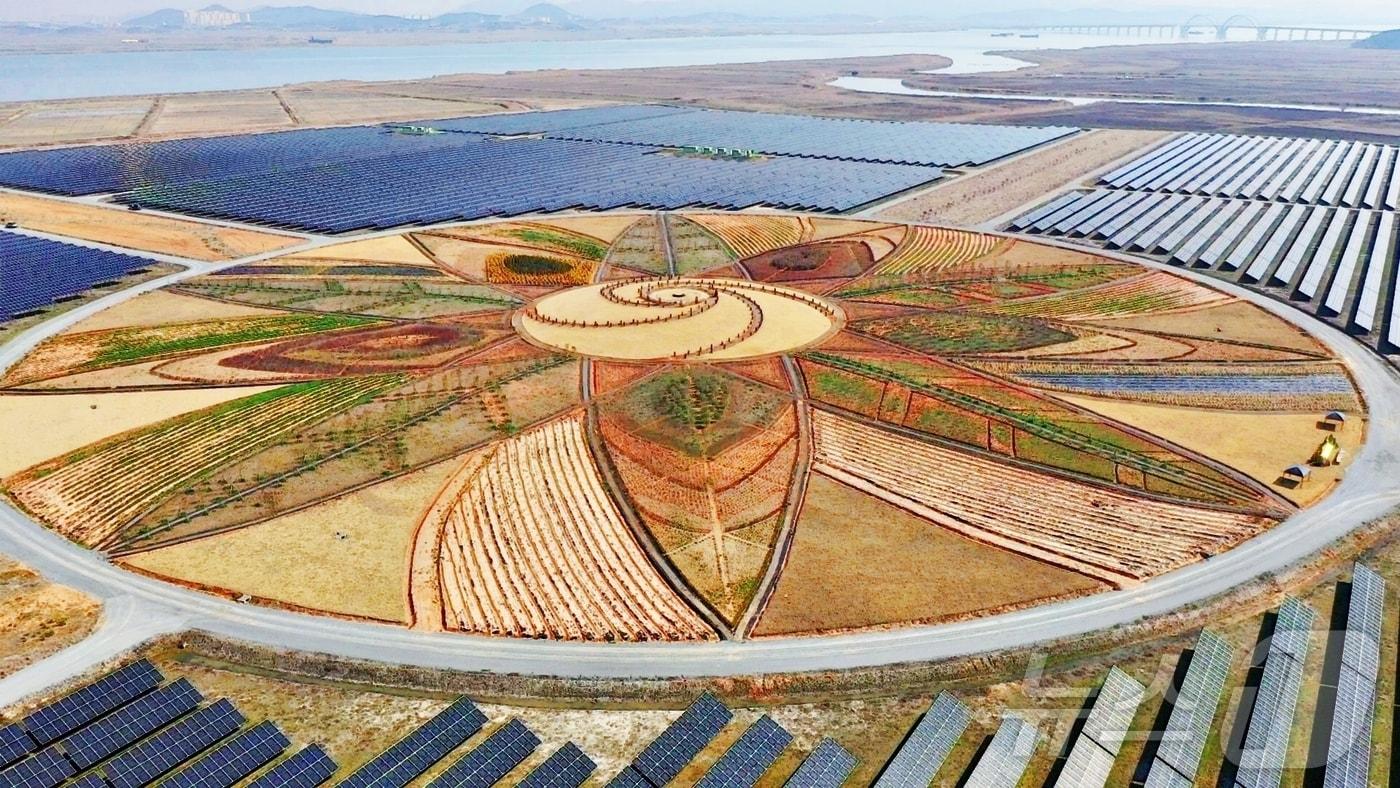 본문 이미지 - 해남 솔라시도 기업도시 태양의 정원(해남군 제공. 재판매 및 DB금지) /뉴스1 