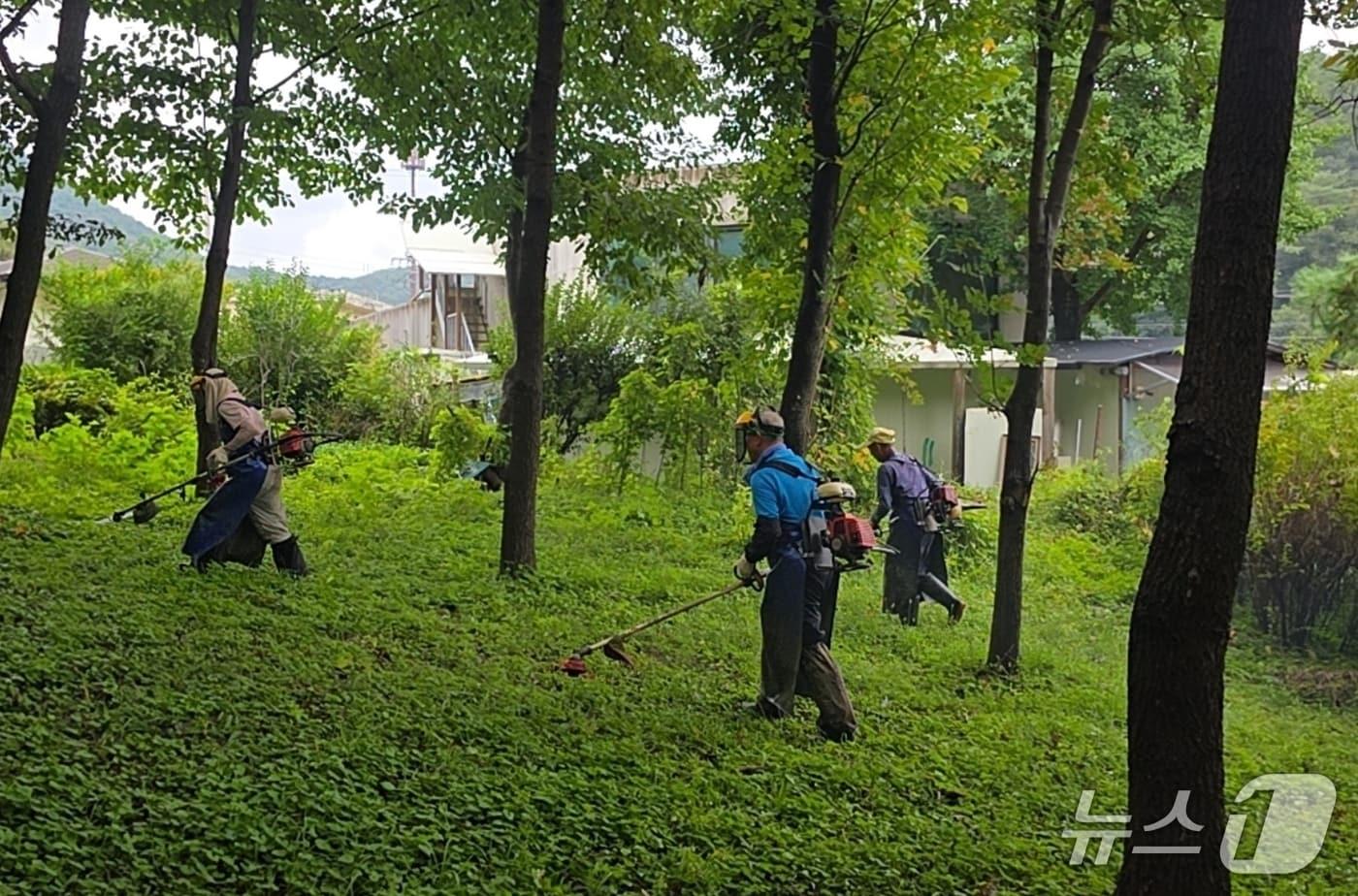 본문 이미지 - 광주시 남종면 금사리마을회 주민들이지난해 9월 금사리 일대에서 수변녹지 식생 관리 활동을 하고 있는 모습.(한강청 제공)