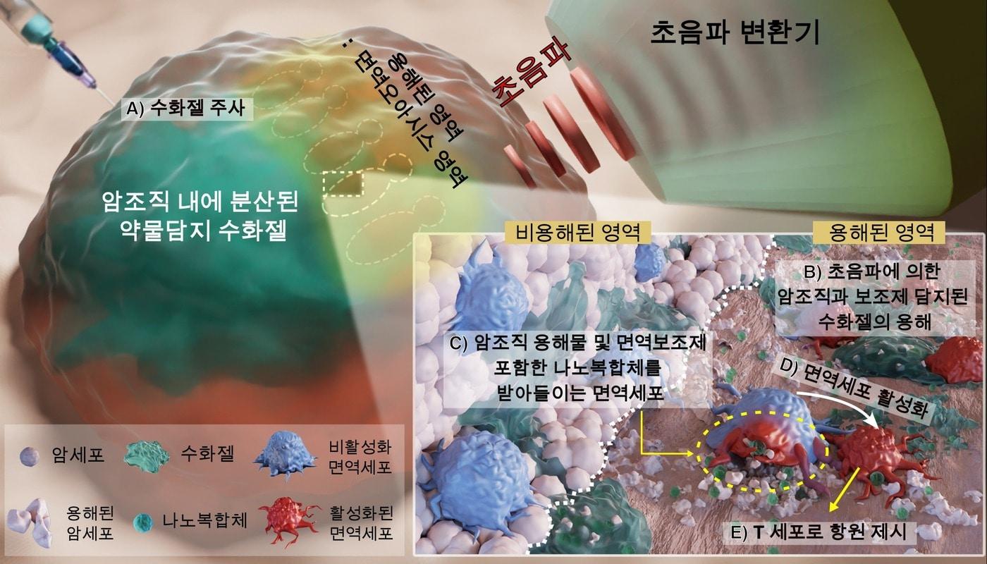 본문 이미지 - (KIST 제공)