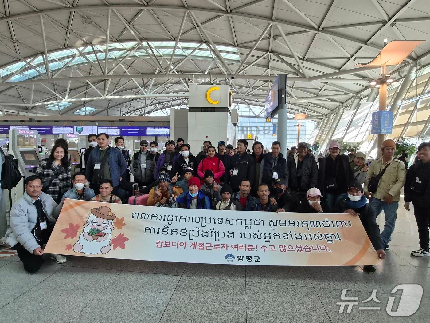 본문 이미지 - 경기 양평군 농가에서 일한 캄보디아 국적의 외국인 계절 근로자.(양평군 제공. 재판매 및 DB 금지)/뉴스1