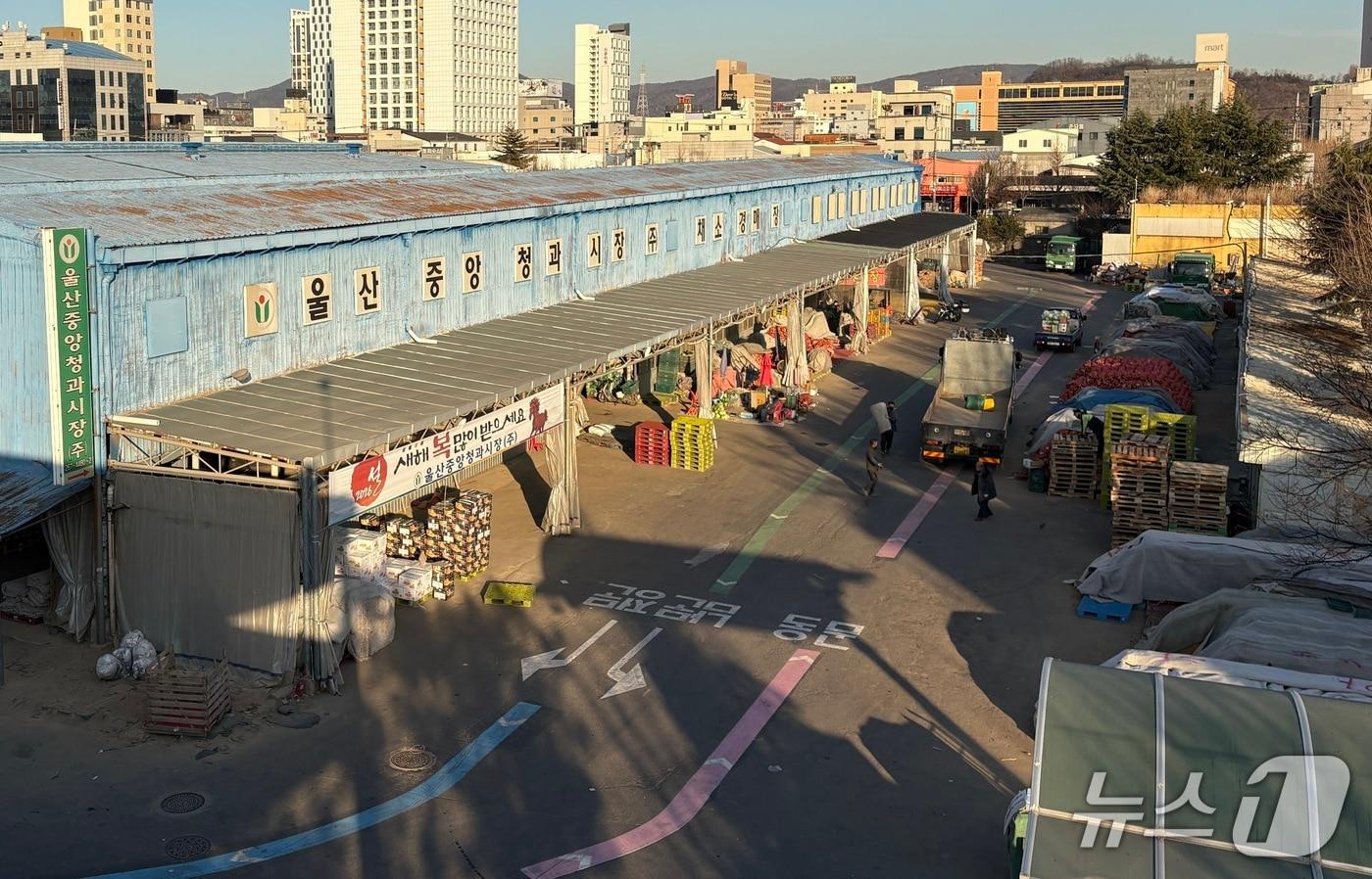 본문 이미지 - 울산농수산물도매시장. /뉴스1
