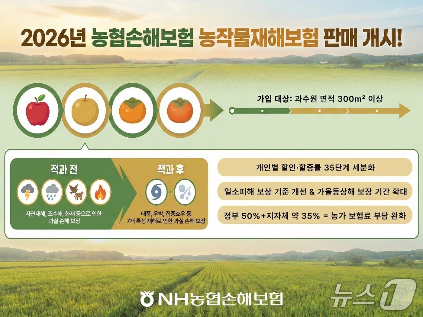 본문 이미지 - NH농협손해보험(대표이사 송춘수)은 2026년 농작물재해보험 판매를 개시한다고 5일 밝혔다. 첫 판매 품목은 사과, 배, 단감, 떫은감 과수 4종이다./사진제공=NH농협손해보험