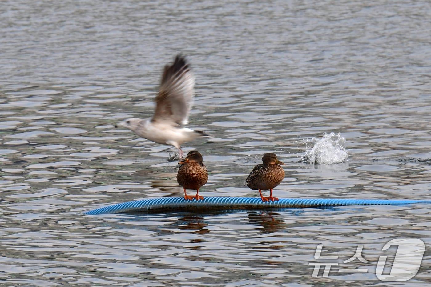 본문 이미지 - (뉴스1 자료 사진) ⓒ 뉴스1 최창호 기자