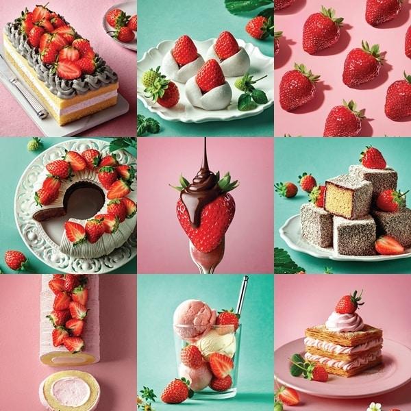 본문 이미지 - (이랜드이츠 제공)