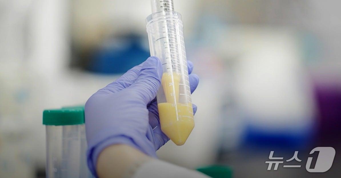 본문 이미지 - 다이어트와 건강 관리의 적으로 인식되던 '지방'에 대한 시선이 달라지고 있다. 그동안 제거의 대상으로 겨냥된 지방이 최근에는 인체의 대사 환경을 조절하는 중요한 생체 자원으로 재평가되는 흐름이 형성되고 있다.(지방흡입 특화의료기관 '365mc' 제공.)