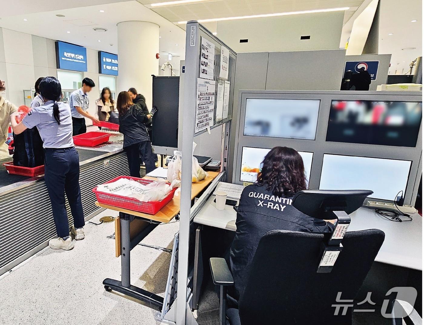 본문 이미지 - 해외여행객 엑스레이(X-ray) 일제검사 모습. (농림축산식품부 농림축산검역본부 제공)