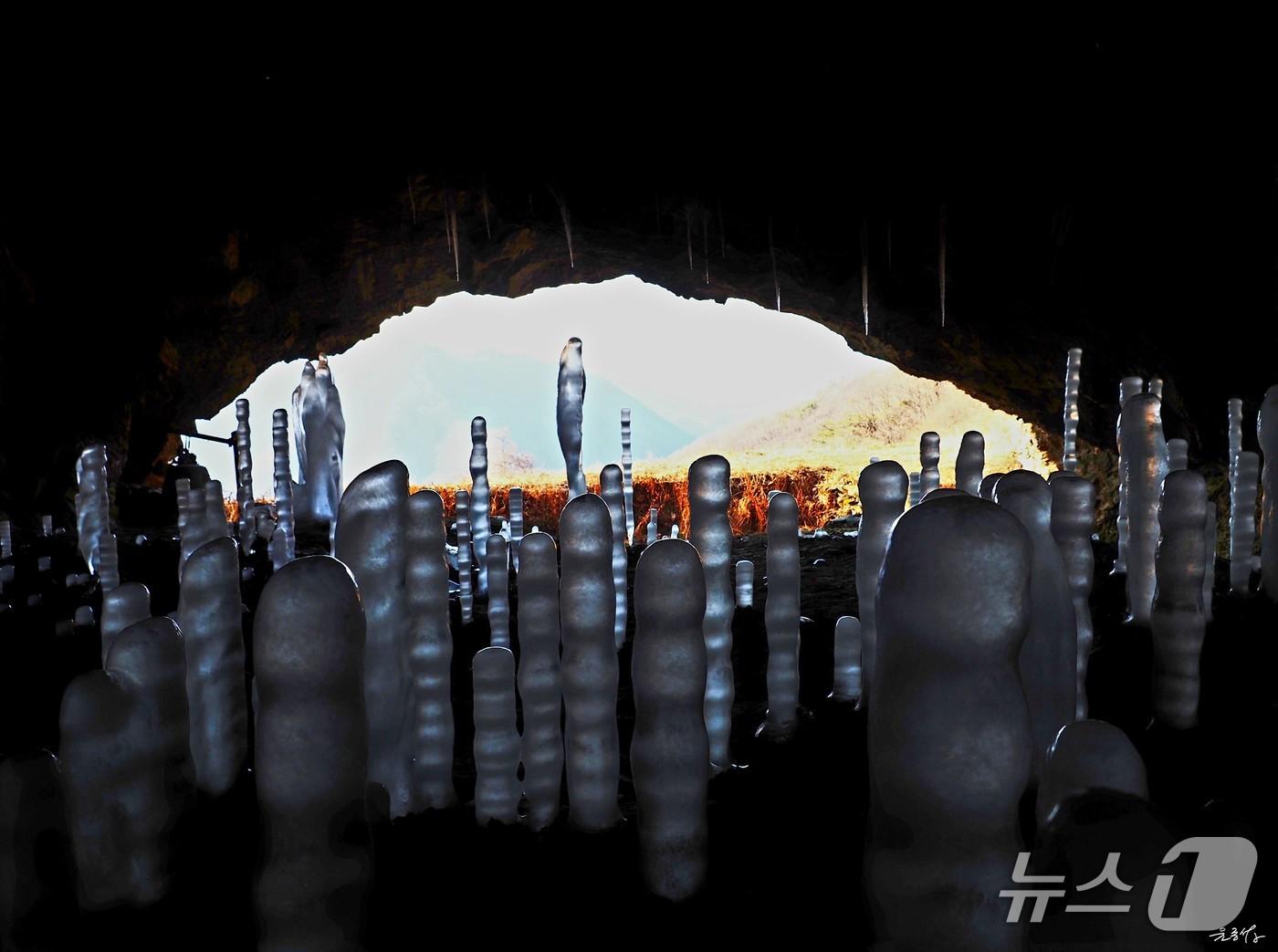 본문 이미지 -  제천 월악산 기슭 보덕암 인근 보덕굴에서 생겨난 역고드름.(윤종섭 작가 제공. 재판매 및 DB 금지) / 뉴스1