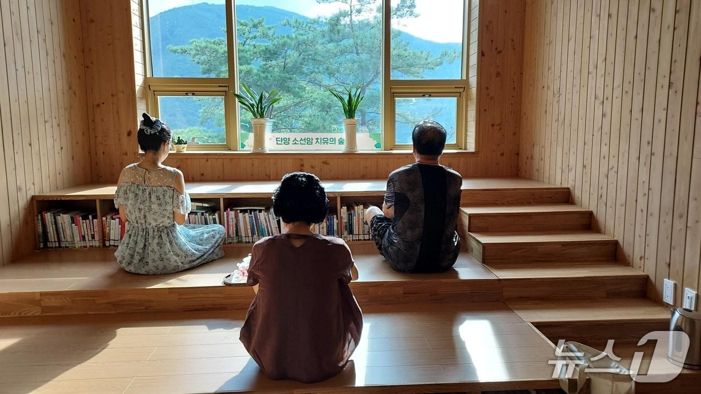본문 이미지 - 단양군 소선암 치유의 숲.(단양군 작가 제공. 재판매 및 DB 금지) / 뉴스1 