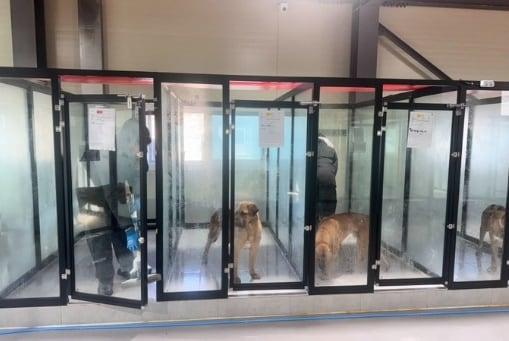 본문 이미지 - 아크보호소 공식 SNS