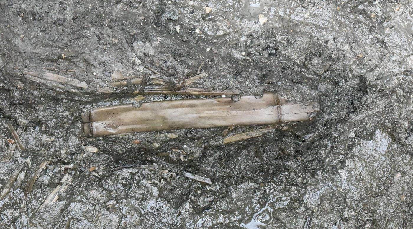 본문 이미지 - 부여 관북리 유적에서 출토된 횡적.(국립부여문화유산연구소 제공. 재판매 및 DB금지)/뉴스1