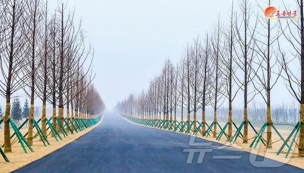 본문 이미지 - (평양 노동신문=뉴스1) = 북한 노동당 기관지 노동신문은 6일 "인민의 권익과 복리증진을 위함에 모든 것을 지향복종시키며 역사에 유례없는 건설의 대번영기, 자립, 자존의 최전성기를 펼쳐가는 조선노동당의 탁월한 영도에 의하여 조국의 서북변에 초유의 대온실군이 웅장하게 일떠섰다＂고 보도했다. [국내에서만 사용가능. 재배포 금지. DB 금지. For Use Only in the Republic of Korea. Redistribution Prohibited] rodongphoto@news1.kr