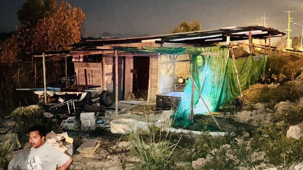 (채널7 보도 갈무리)