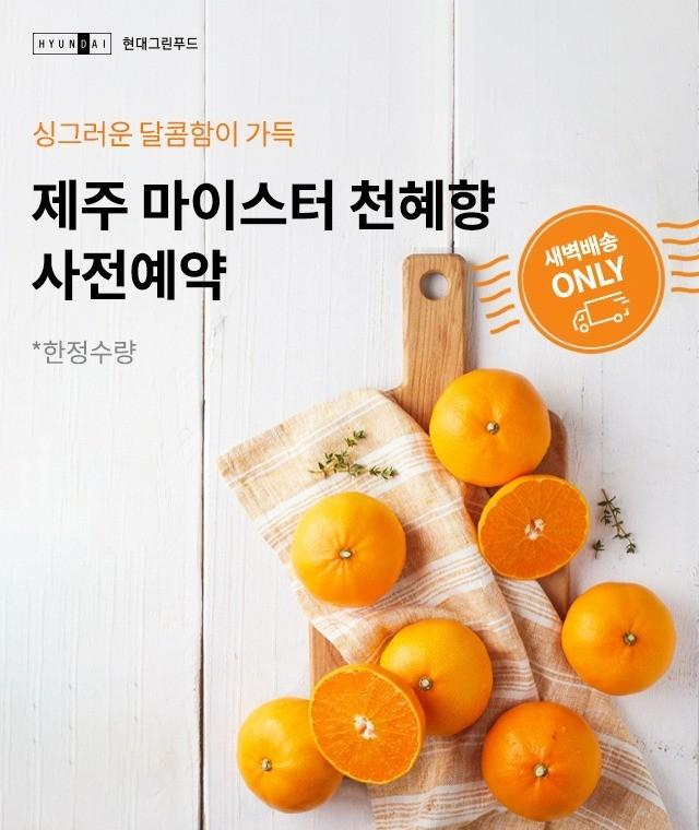 본문 이미지 - 현대그린푸드 그리팅몰 '제주 마이스터 천혜향' 사전예약 대표 이미지.(현대그린푸드 제공)