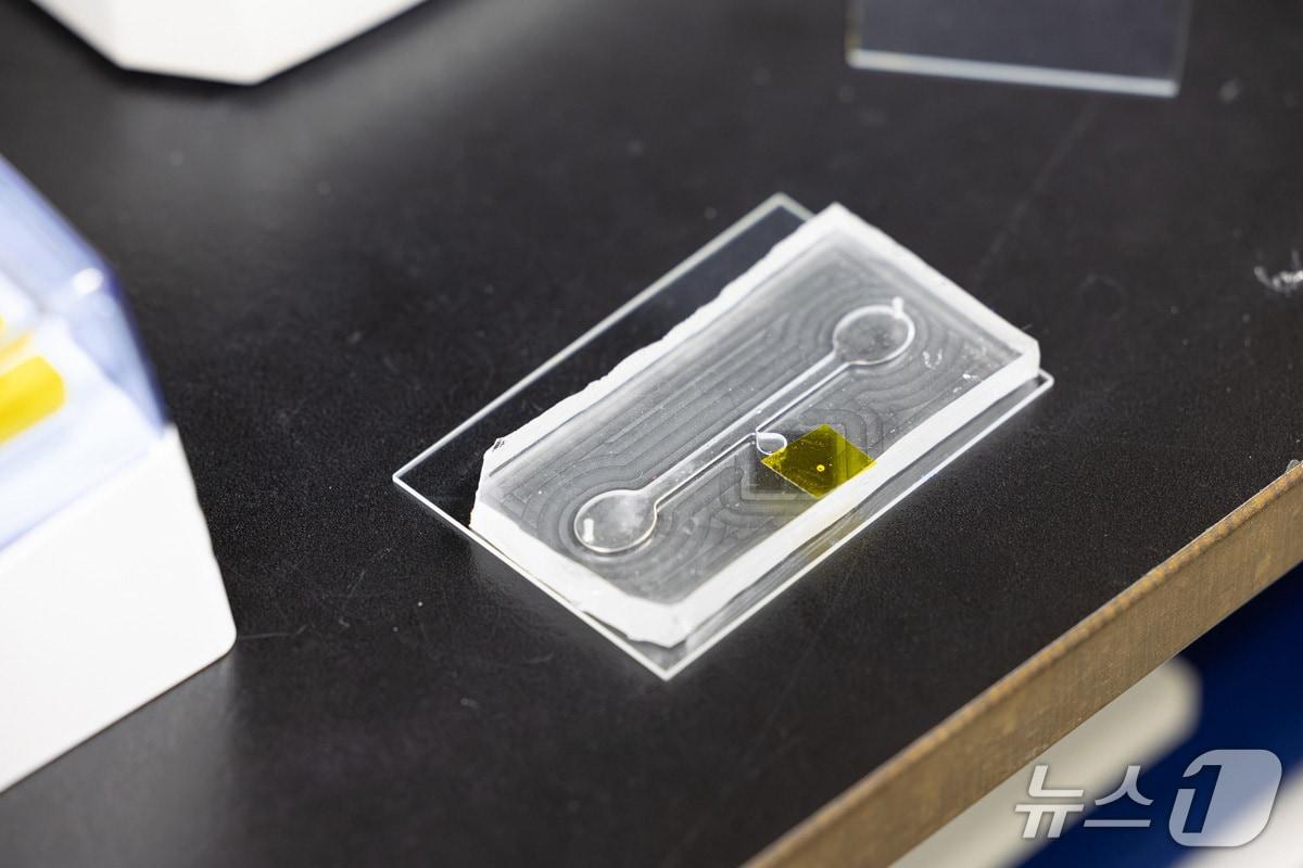 본문 이미지 - 미세유체칩으로 추출한 오염물(화학연 제공) /뉴스1