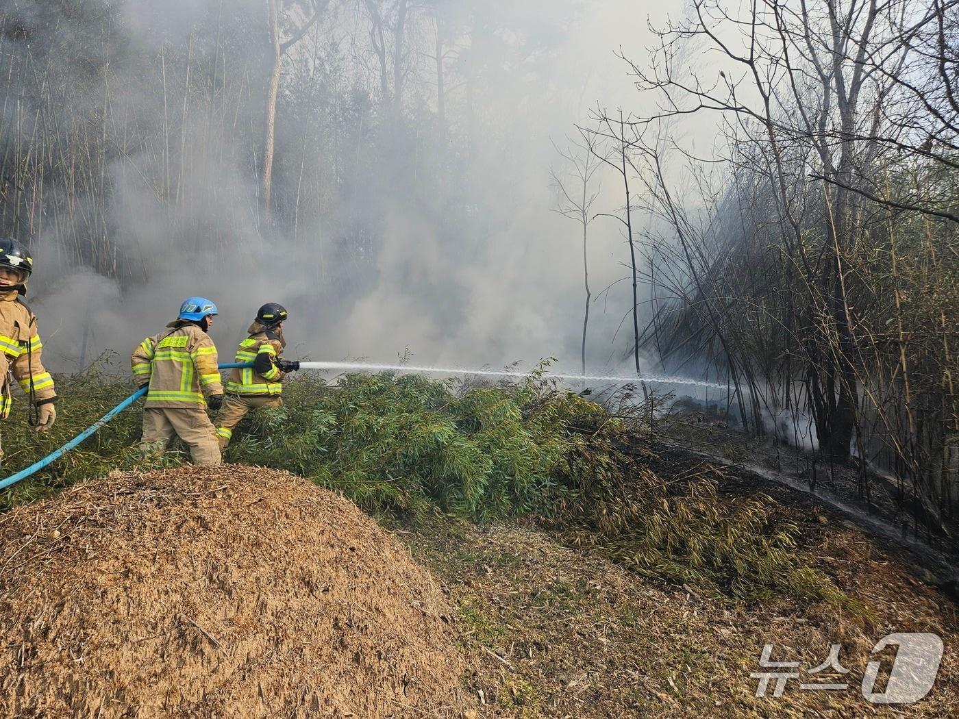 본문 이미지 - 6일 부산 기장군 장안읍 오리의 한 야산에서 불이 나 소방이 진화에 나선 모습 (소방 제공. 재판매 및 DB금지)