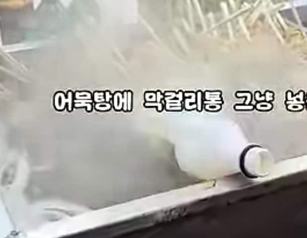 본문 이미지 - 제33회 태백산 눈축제가 개막 첫날인 지난달 31일부터 일부 비위생 노점 논란에 휩싸여 태백시와 태백시문화재단이 조치에 나선 가운데, 최근 한 유튜브 방송에서 논란의 노점 자료 화면이 공개됐다. (모 유튜브 방송 갈무리. 재판매 및 DB금지) 2026.2.3/뉴스1