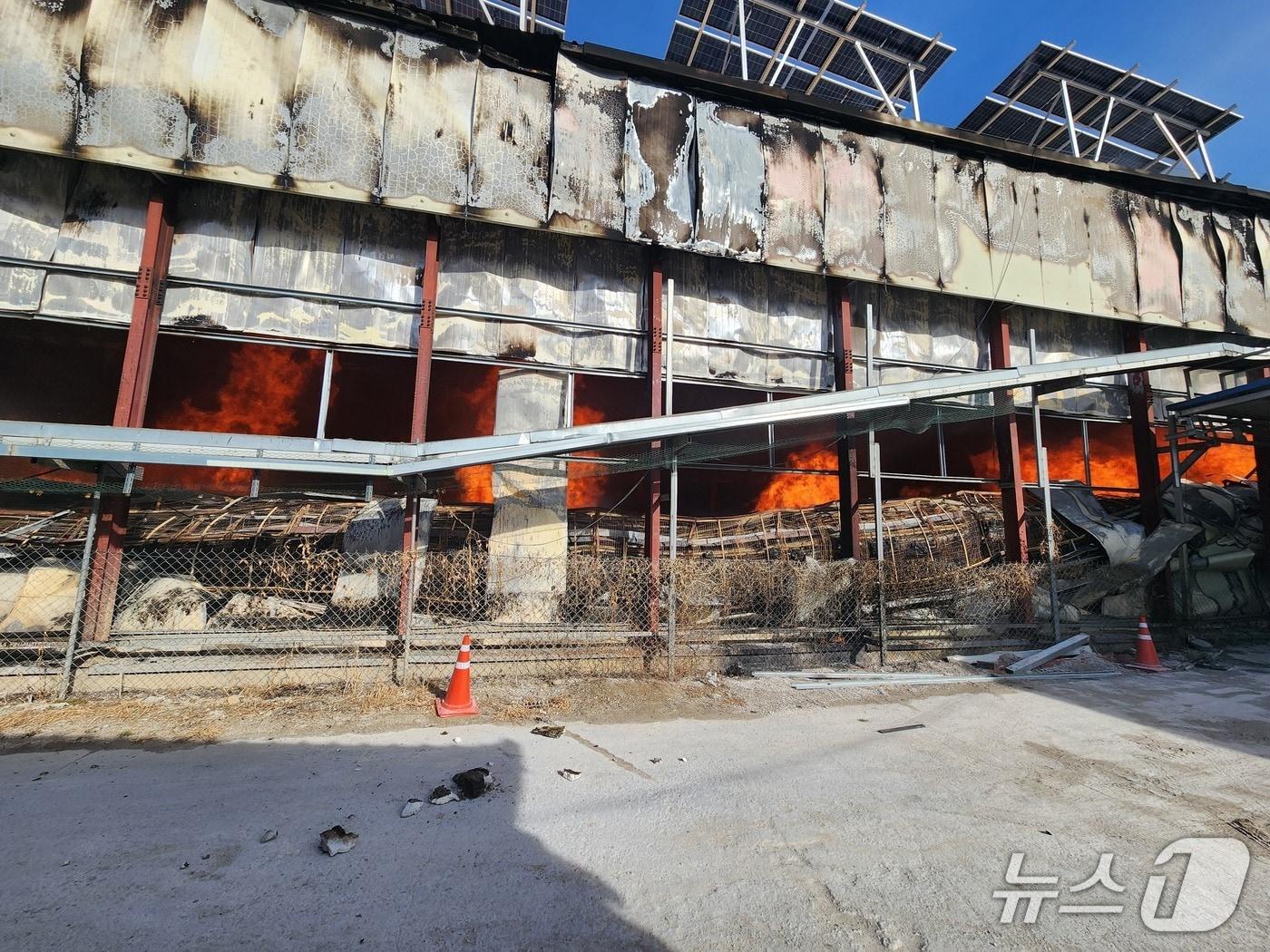 본문 이미지 - 영동 양계장 화재 현장.(영동소방서 제공. 재판매 및 DB금지)./뉴스1