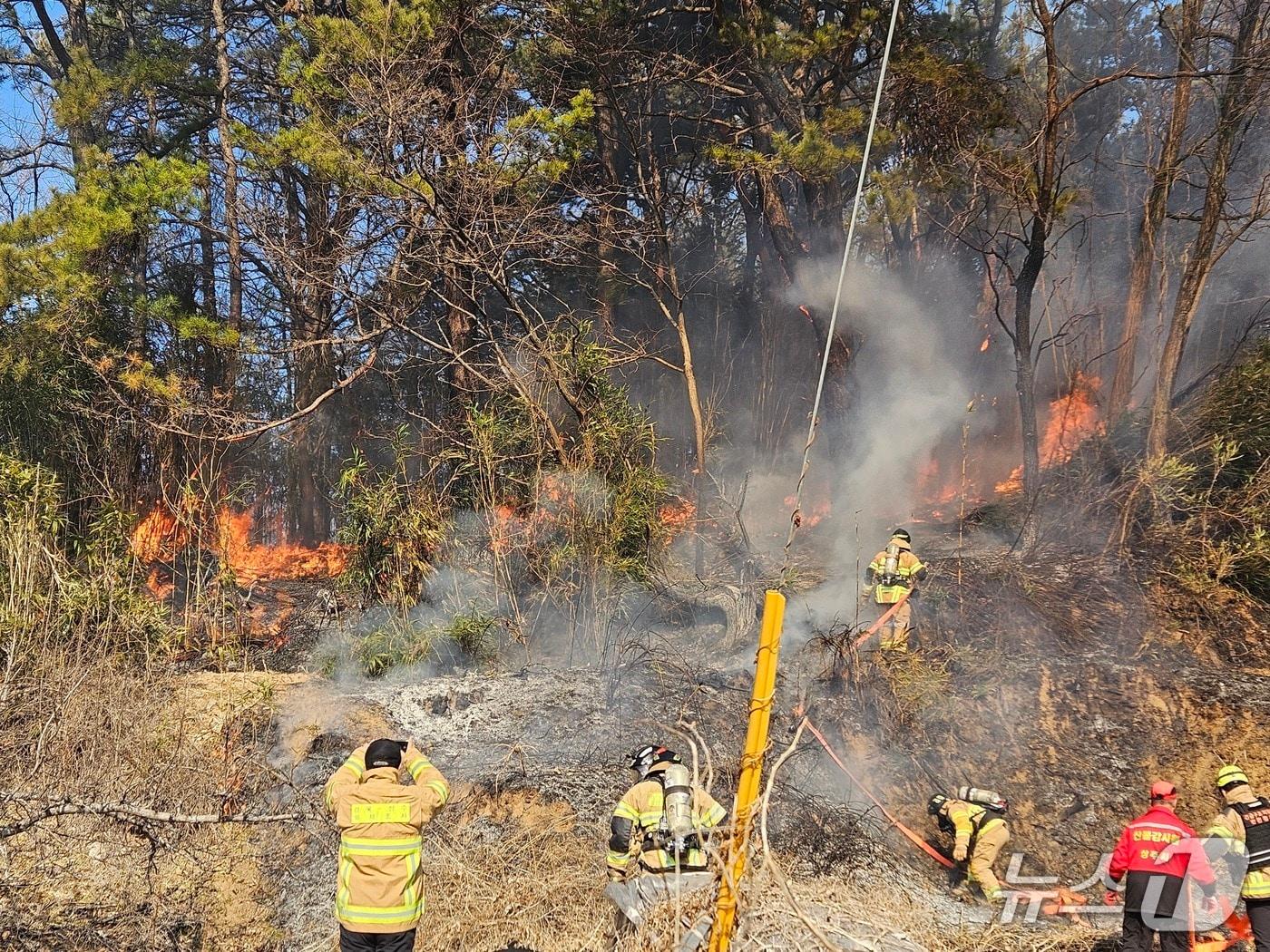 본문 이미지 - 6일 오후 1시4분쯤 경북 상주시 공검면 병암리의 한 야산에서 불이나 산불진화대원들이 불길을 잡고 있다.(경북소방본부 제공. 재판매 및 DB 금지)2026.2.6/뉴스1