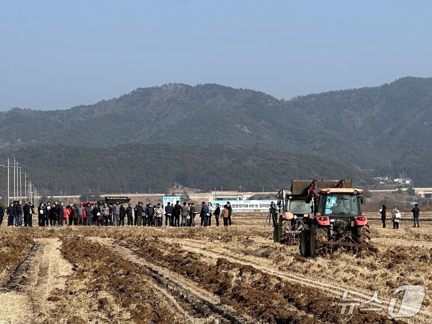본문 이미지 - 농림축산식품부는 전라남도, 농촌진흥청과 함께 전남 영암군에서 논 깊이갈이 시연회와 예방대책 행사를 열고, 왕우렁이 개체수 감소와 월동 방지를 통한 벼 재배 농가 피해 최소화 방안을 현장에서 점검했다. (사진제공=농림축산식품부)