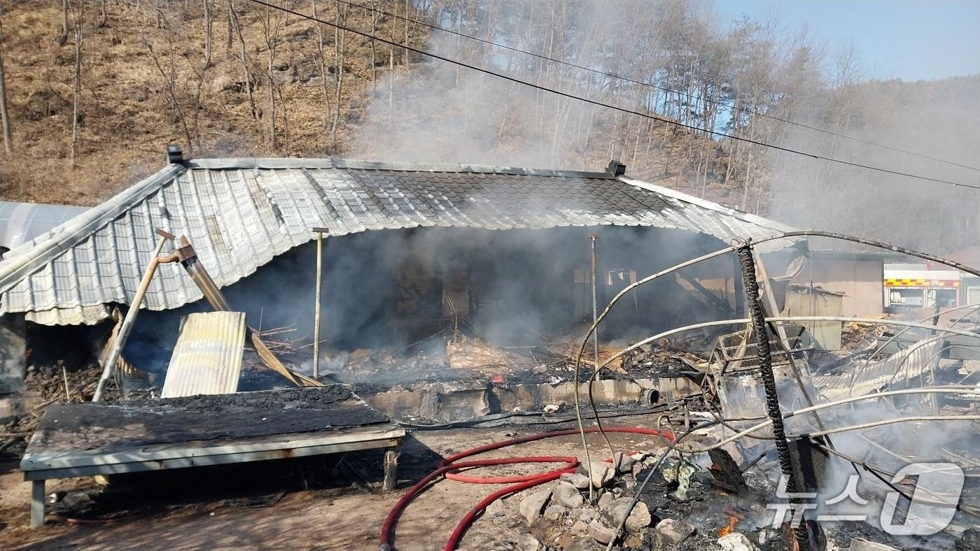 본문 이미지 - 6일 오후 1시16분쯤 경북 청송군 파천면의 한 주택에서 불이 나 90대 남성이 숨졌다.(경북소방본부 제공. 재판매 및 DB금지)