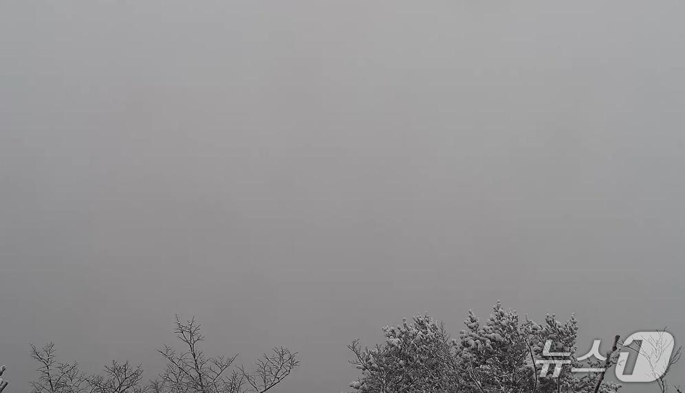 본문 이미지 - 울릉도 내수전전망대 전경 (울릉도,독도 실시간 웹방송 갈무리. 재판매 및 DB금지)