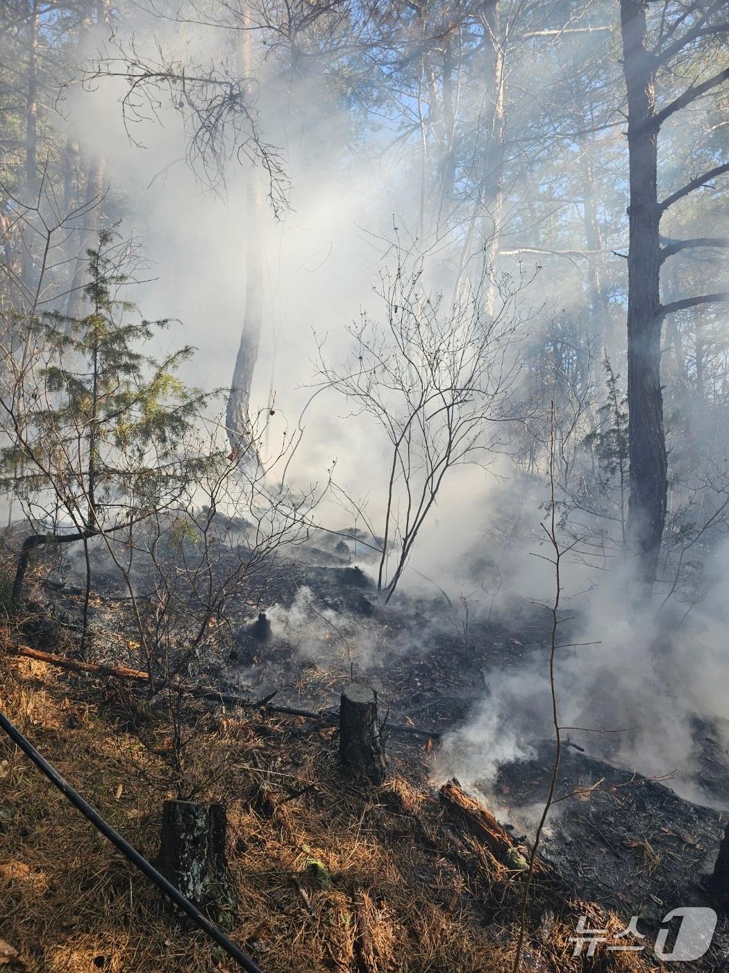 본문 이미지 - 7일 오후 2시 6분쯤 거창군 주상면의 한 야산에서 불이나 24분만에 진화됐다. 사진은 화재 현장 모습.(산림청 제공. 재판매 및 DB금지)