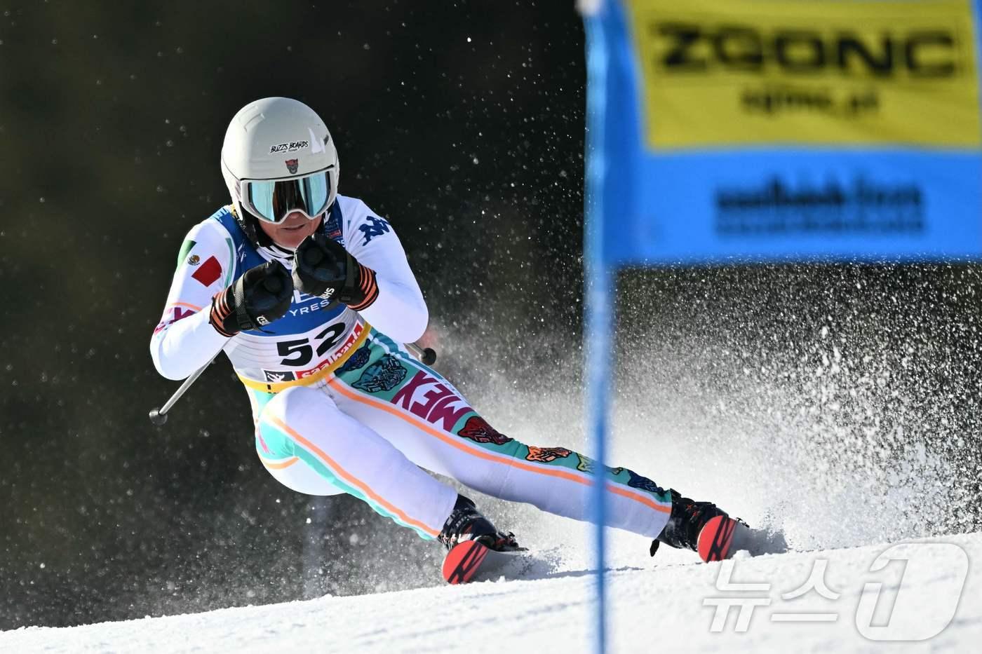 본문 이미지 - 아들과 함께 동계 올림픽에 출전한 멕시코의 알파인 스키 사라 슐레퍼. ⓒ AFP=뉴스1
