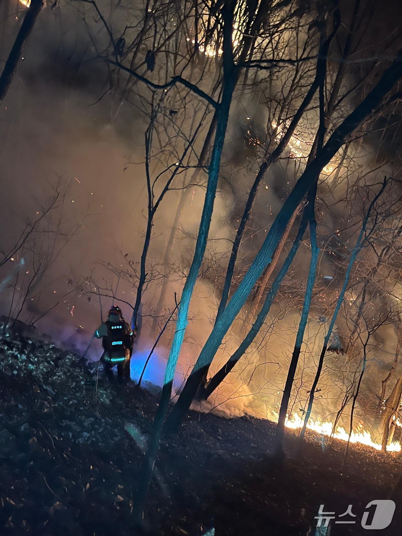 본문 이미지 - 7일 오후 9시 31분 경북 경주시 문무대왕면 등에서 발생한 산불이 다음날까지 이어지고 있는 가운데 산불진화대원들이 밤새 진화를 하고 있다.(경북소방본부 제공. 재판매 및 DB 금지)2026.2.8/뉴스1