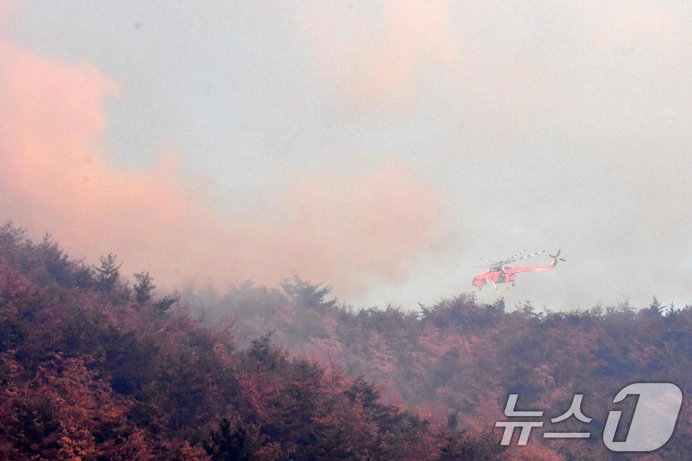 본문 이미지 - 8일 오전 산침청 초대형 진화헬기가 경북 경주시 문무대왕면 입천리에서 발생한 산불을 진화하고 았다. 2026.2.8 ⓒ 뉴스1 최창호 기자