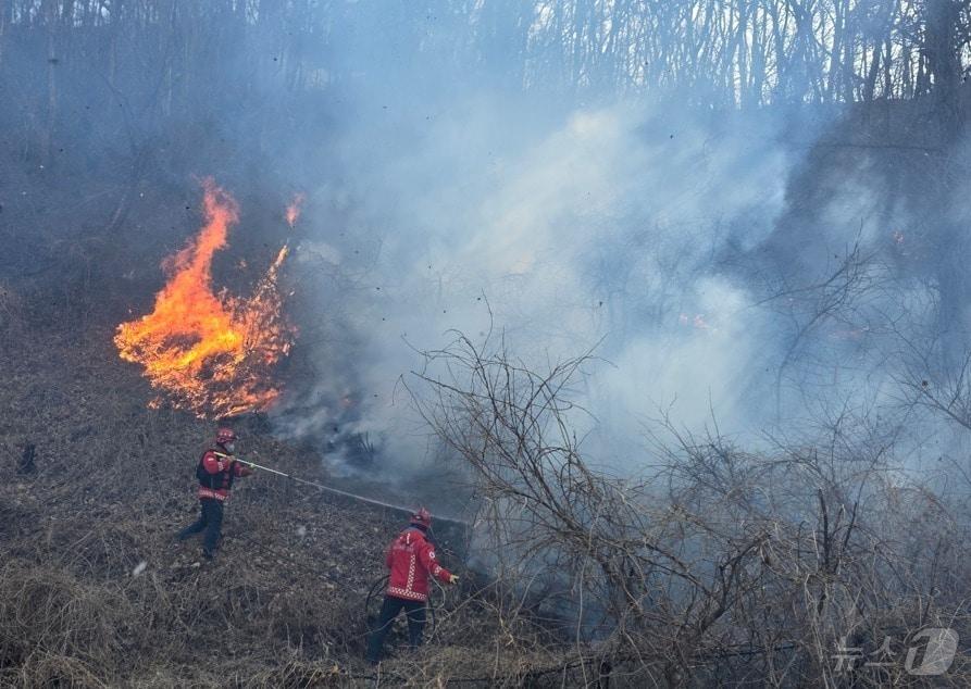 본문 이미지 - 산불 발생 이틀째인 8일 산림청 산불특수진화대원들이 경북 경주시 문무대왕면 입천리 산불 현장에서 지상 진화 작업을 벌이고 있다.(산림청 제공. 재판매 및 DB금지)2026.2.8 ⓒ 뉴스1 이성덕 기자