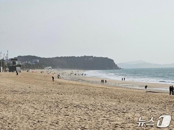 본문 이미지 - 강추위로 인해 보령 대천해수욕장이 한산한 모습. / 뉴스1