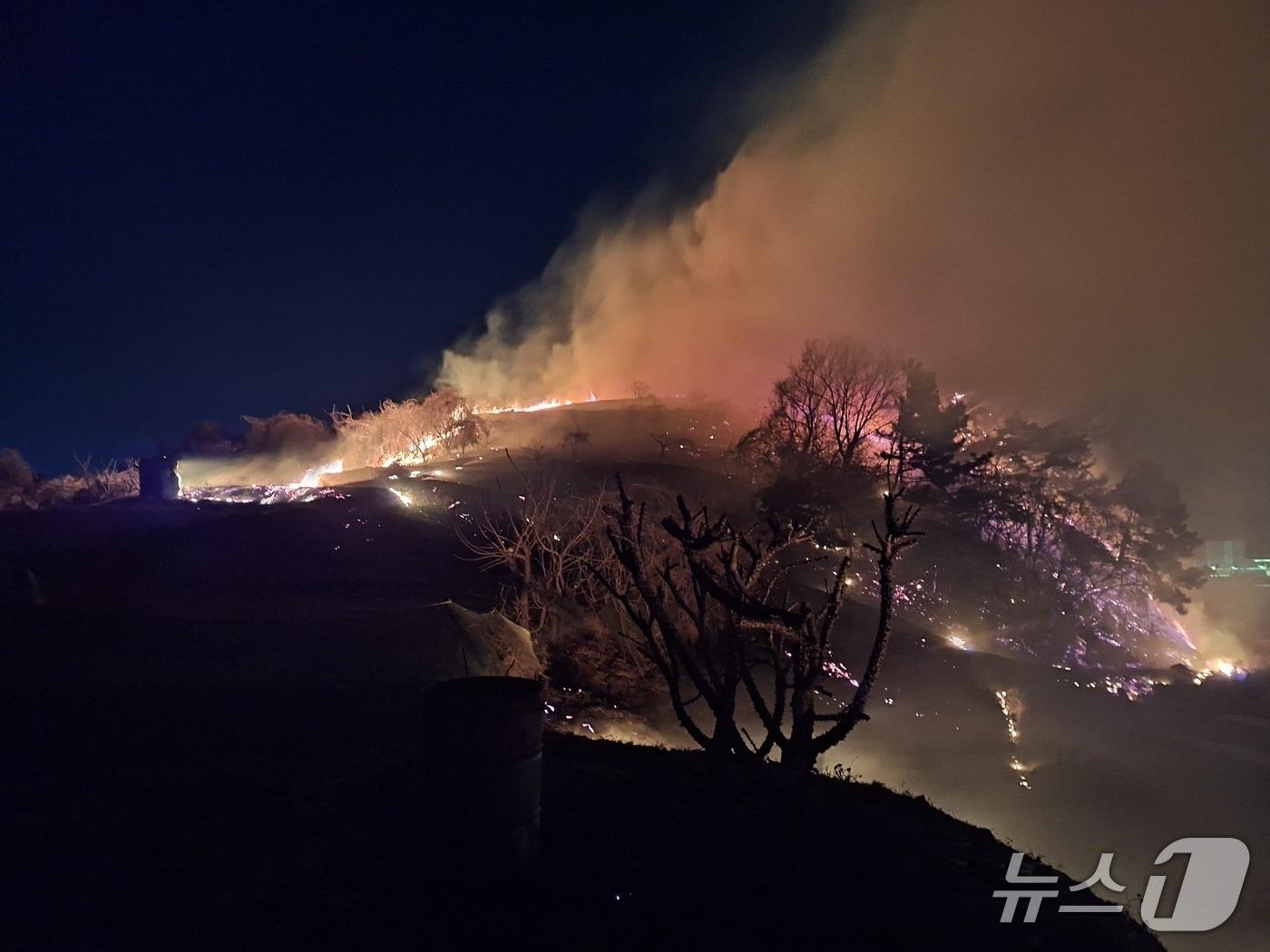 본문 이미지 - 8일 오후 7시 47분쯤 전남 여수시 묘도동의 한 야산에서 불이 나 소방당국이 진화하고 있다.(전남소방본부 제공. 재판매 및 DB 금지)