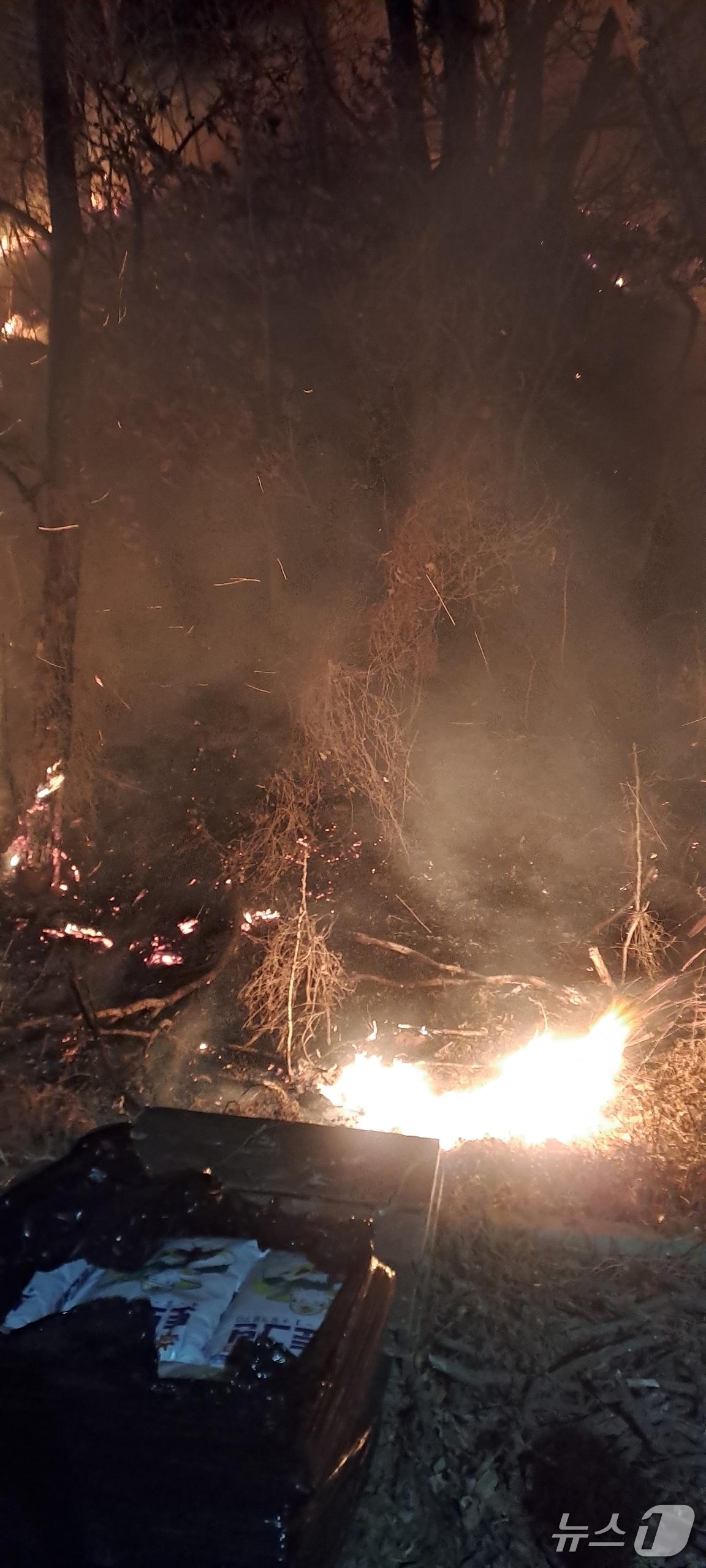 본문 이미지 -  서산 지곡면 산불 현장. (산림청 제공, 재판매 및 DB금지) / 뉴스1