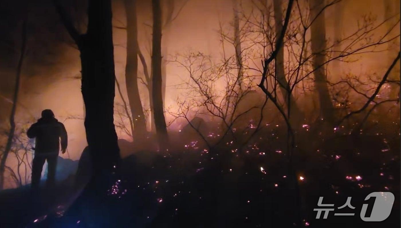 본문 이미지 - 부산 금정봉 산불 현장 모습 (부산소방재난본부 제공. 재판매 및 DB금지)