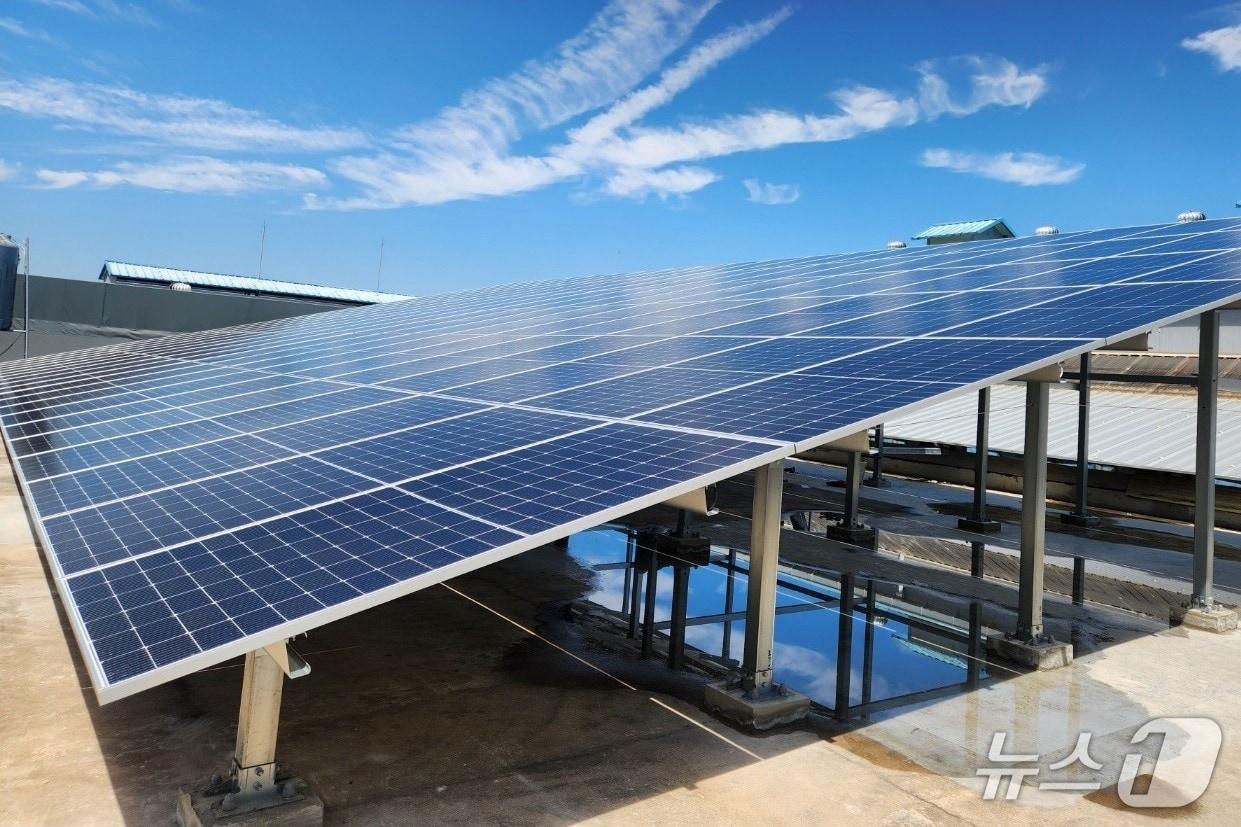 본문 이미지 - 충주 주택 태양광 패널 설치 모습.(충주시 제공. 재판매 및 DB금지)/뉴스1