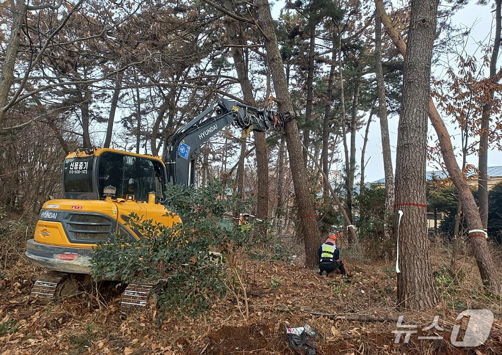 본문 이미지 - 2026년 2월 태안군 남면 일원에서 소나무재선충병 피해목 제거 작업을 진행하는 모습(태안군 제공. 재판매 및 DB금지)2026.2.9/뉴스1