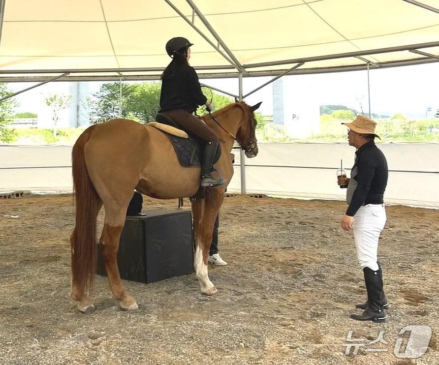 본문 이미지 - 승마 체험 프로그램 (보은군 제공. 재판매 및 DB금지) /뉴스1 