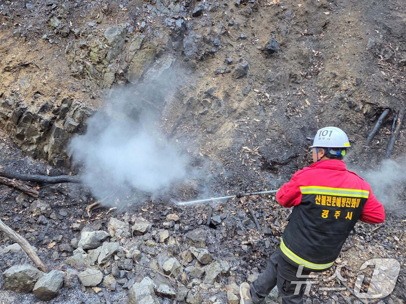 본문 이미지 - 산불잡는 진화대원 모습.(사진은 기사 내용과 무관함) / 뉴스1