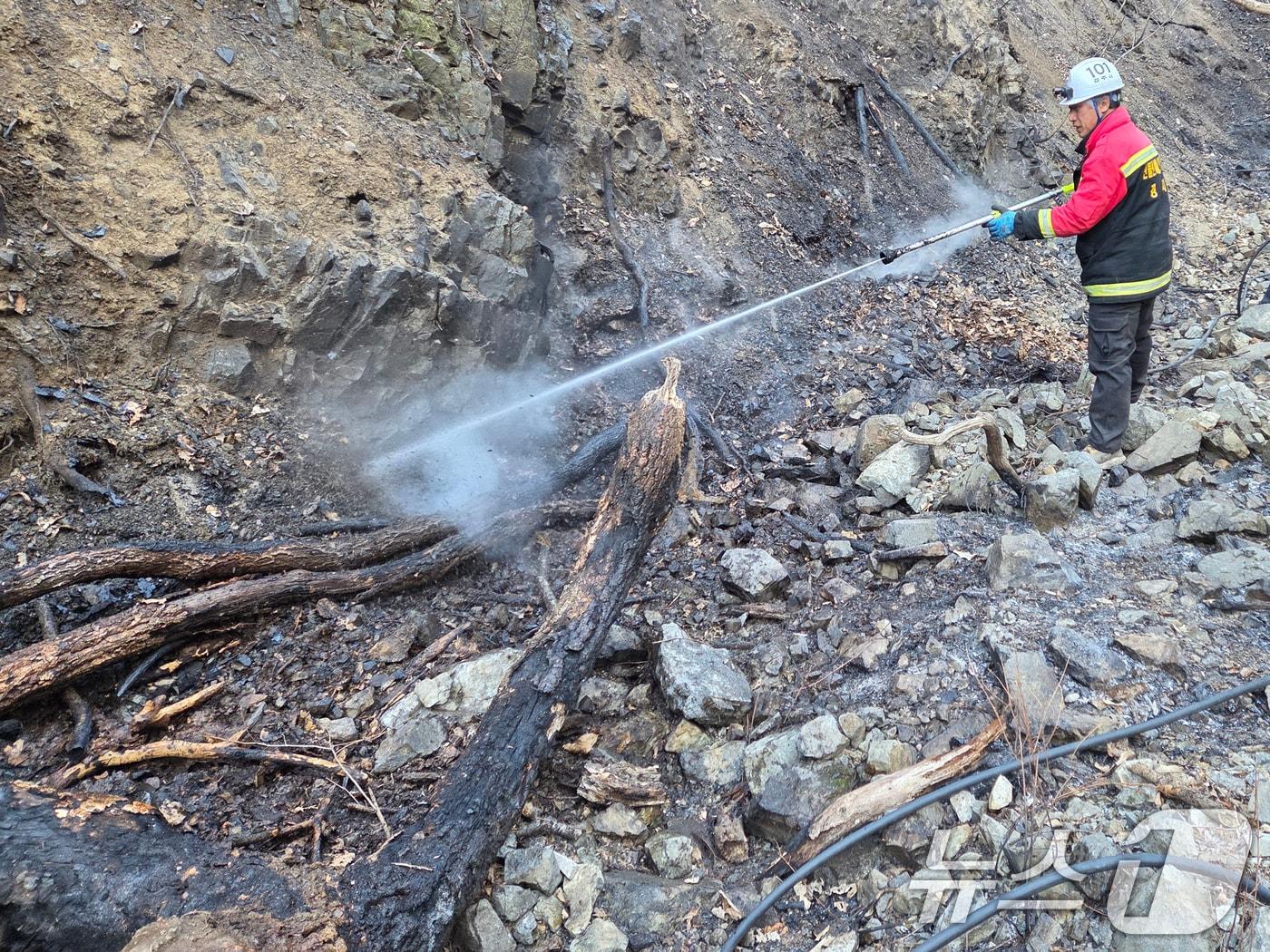 본문 이미지 - 산불.(자료사진)/뉴스1