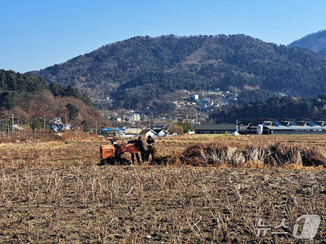 본문 이미지 -  농촌 작업 모습 (자료사진) (경기 가평군 제공. 재판매 및 DB 금지)/뉴스1