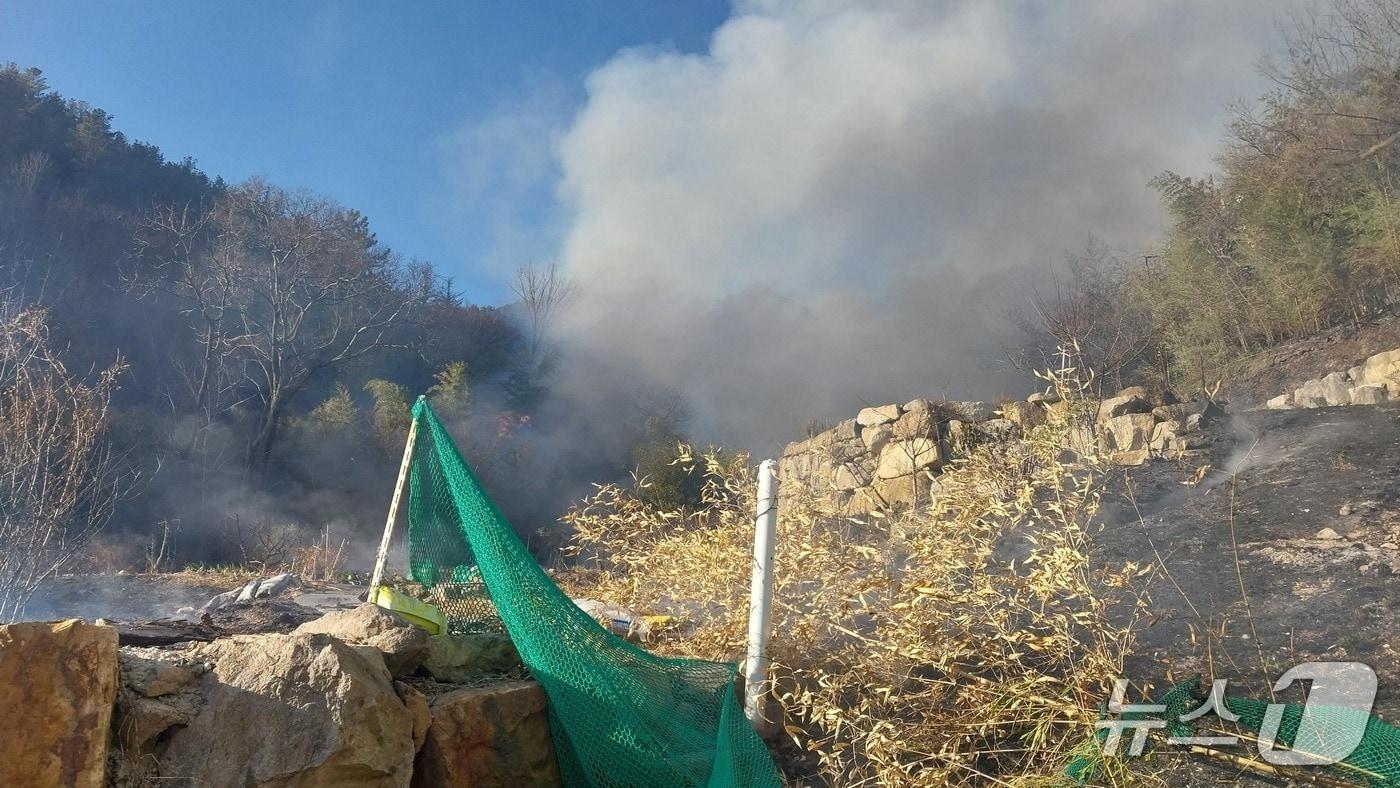 본문 이미지 - 양산 원동면 주택가 인근 산불. 경남소방본부 제공. 재판매 및 DB금지