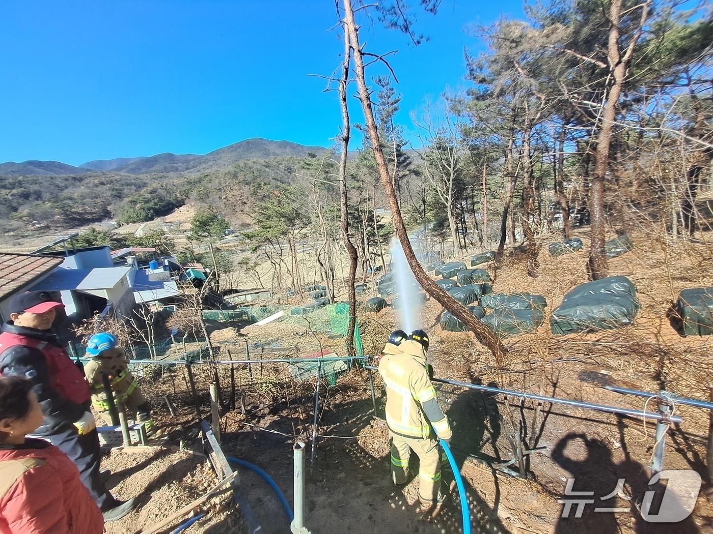 본문 이미지 - 울산소방본부가 9일 울산 울주군 범서읍의 한 야산에 발생한 불을 진압하고 있다.(울산소방본부 제공. 재판매 및 DB금지)/뉴스1
