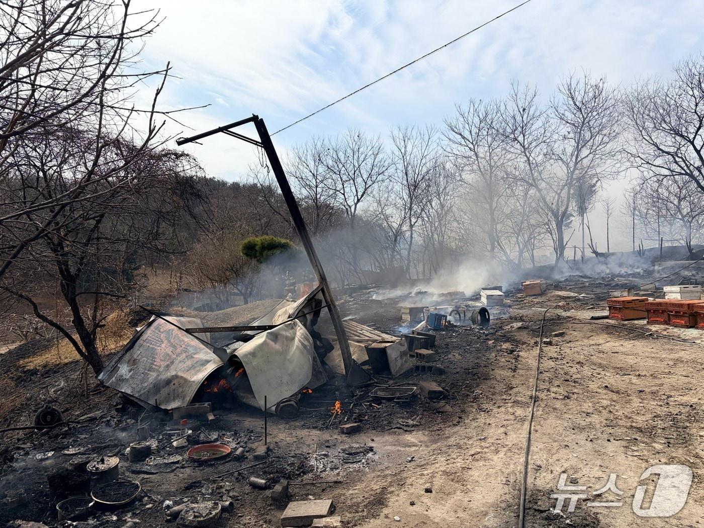 본문 이미지 - 대전 대덕구 읍내동 화재로 불에 탄 양봉장. (대전소방 제공. 재판매 및 DB금지)