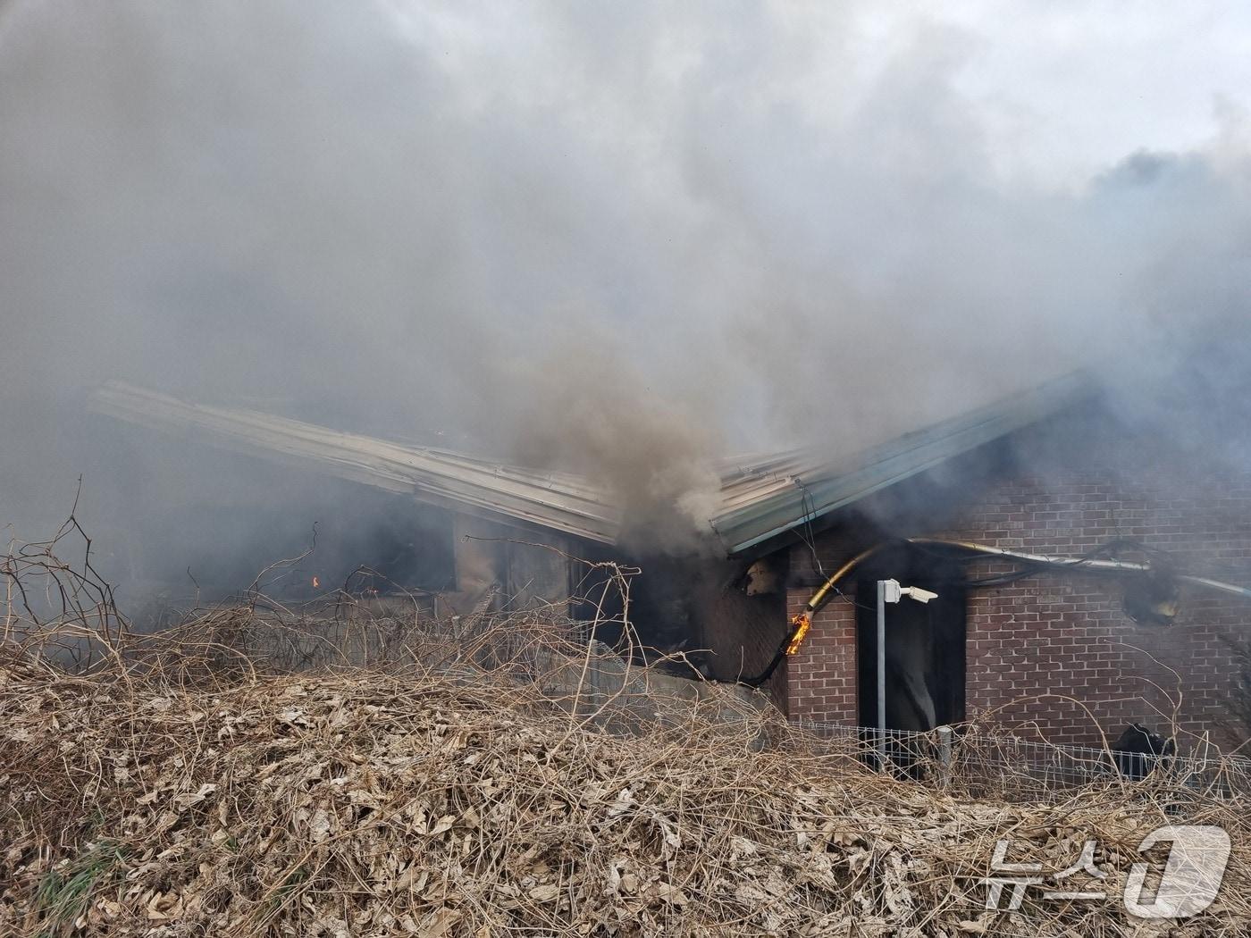 본문 이미지 - 무안 축사서 화재.(전남소방본부 제공. 재판매 및 DB금지) 2026.3.1/뉴스1