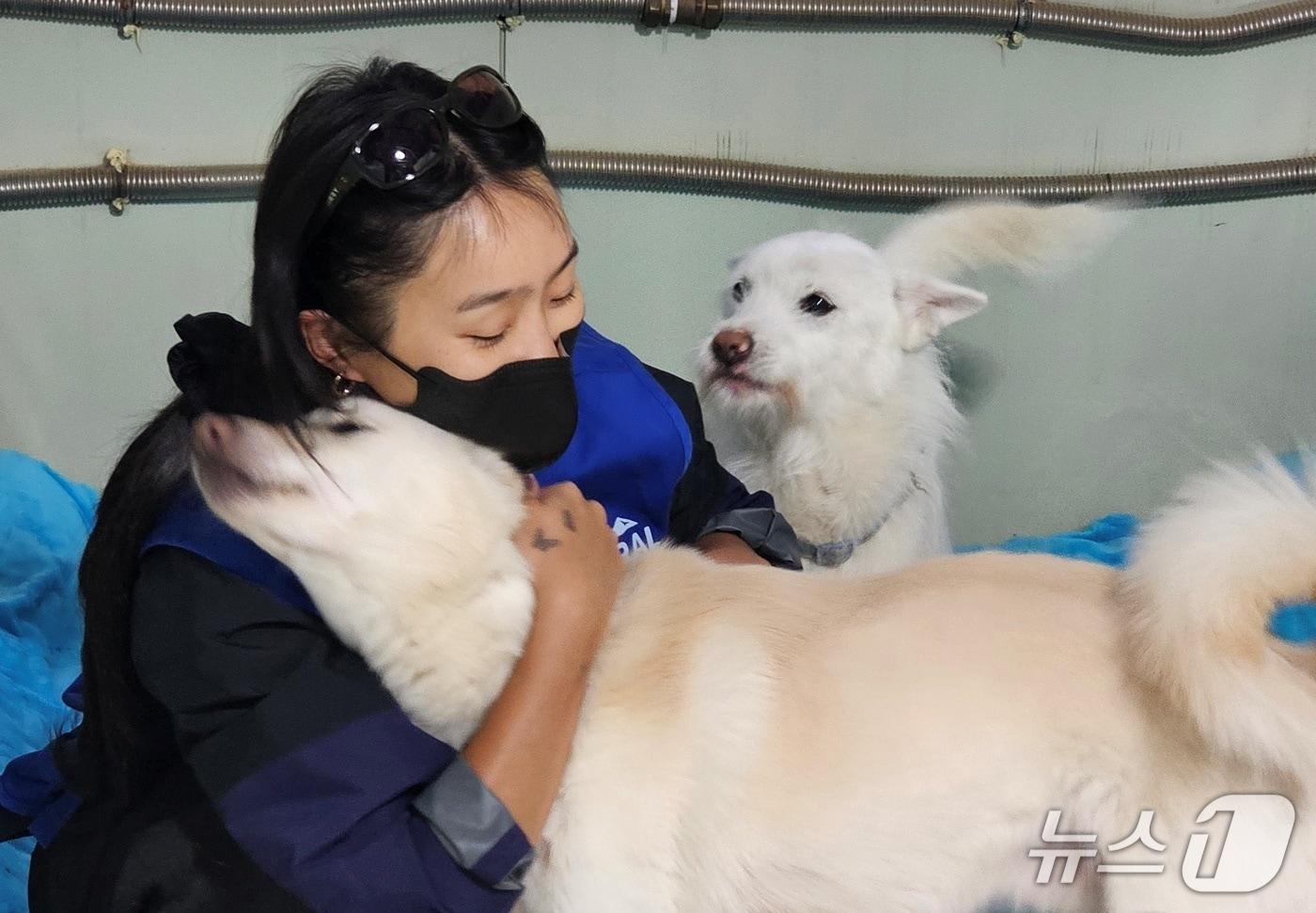 본문 이미지 - 동물보호소에서 봉사하는 효린(내추럴발란스 제공) ⓒ 뉴스1