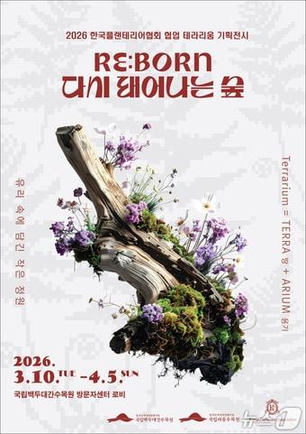 본문 이미지 -  뉴스1