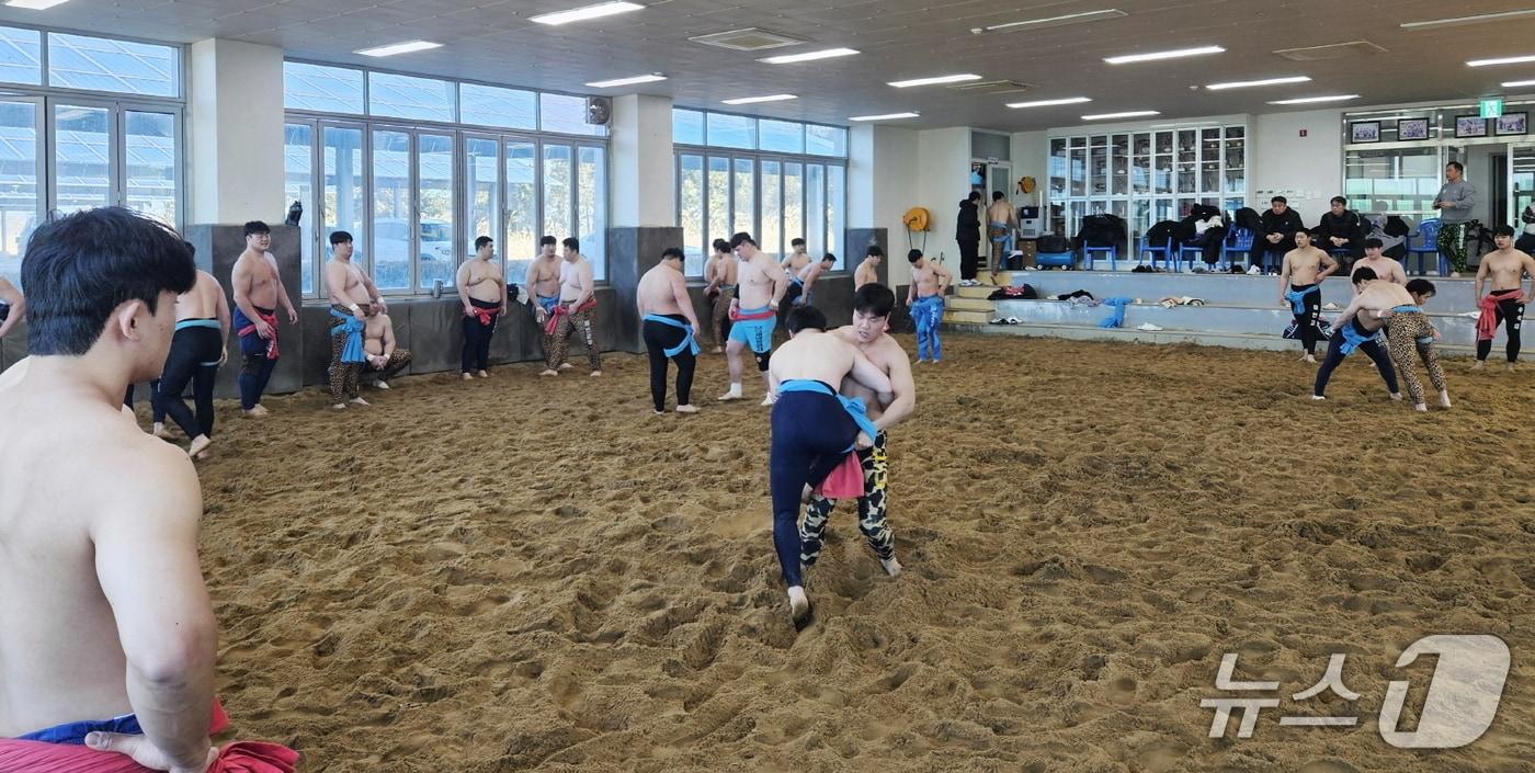 본문 이미지 - 태안군 전용씨름장에서 전지훈련을 실시하고 있는 선수들의 모습(태안군 제공. 재판매 및 DB금지)2026.3.10/뉴스1