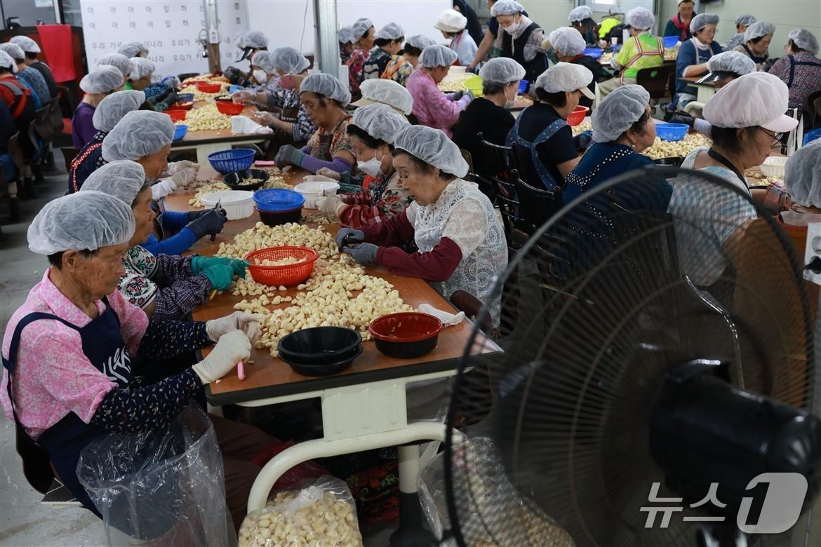 본문 이미지 - 일하는 밥퍼(충북도 제공. 재판매 및 DB금지)
