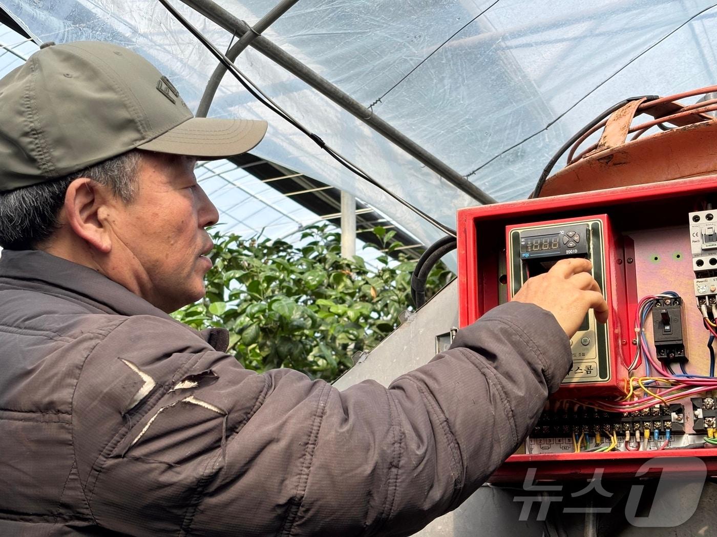 본문 이미지 - 제주 서귀포시 남원읍 태흥리 소재 감귤 과수원에서 강성훈 씨(63)가 등유를 사용하는 가온 재배 방식을 설명하고 있다.2026.3.10 ⓒ 뉴스1 홍수영 기자